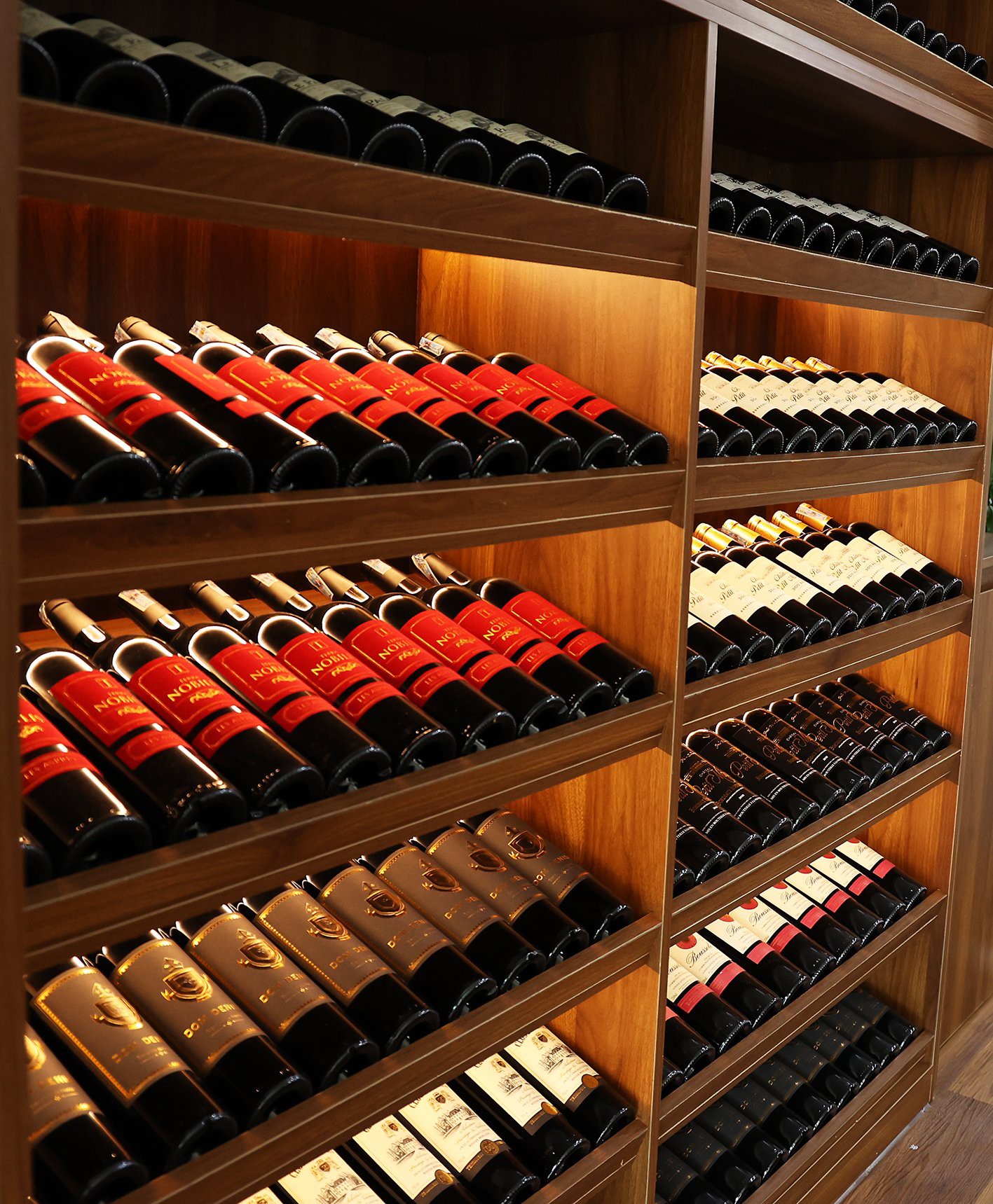 Terra De Vins