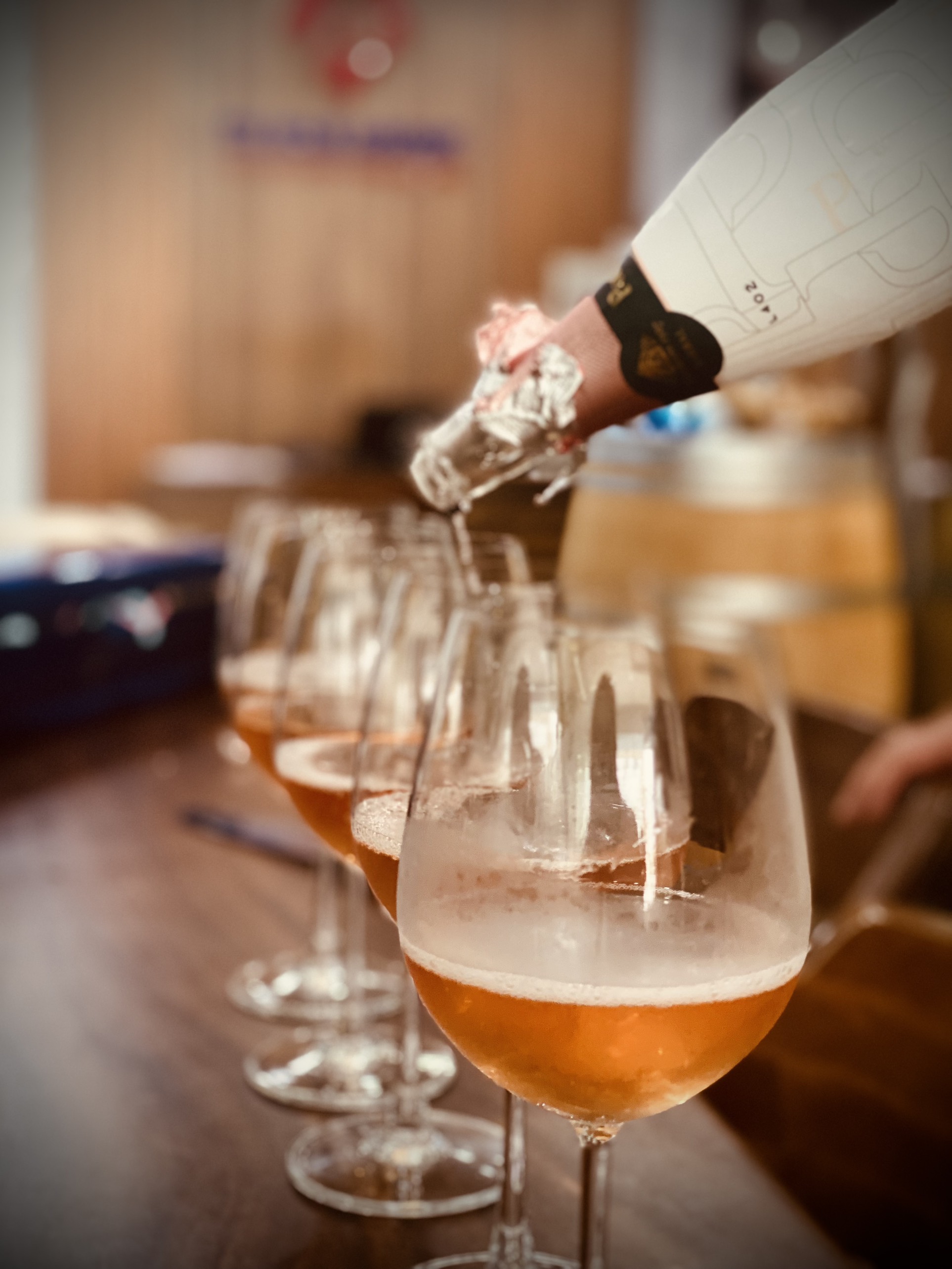 Terra De Vins
