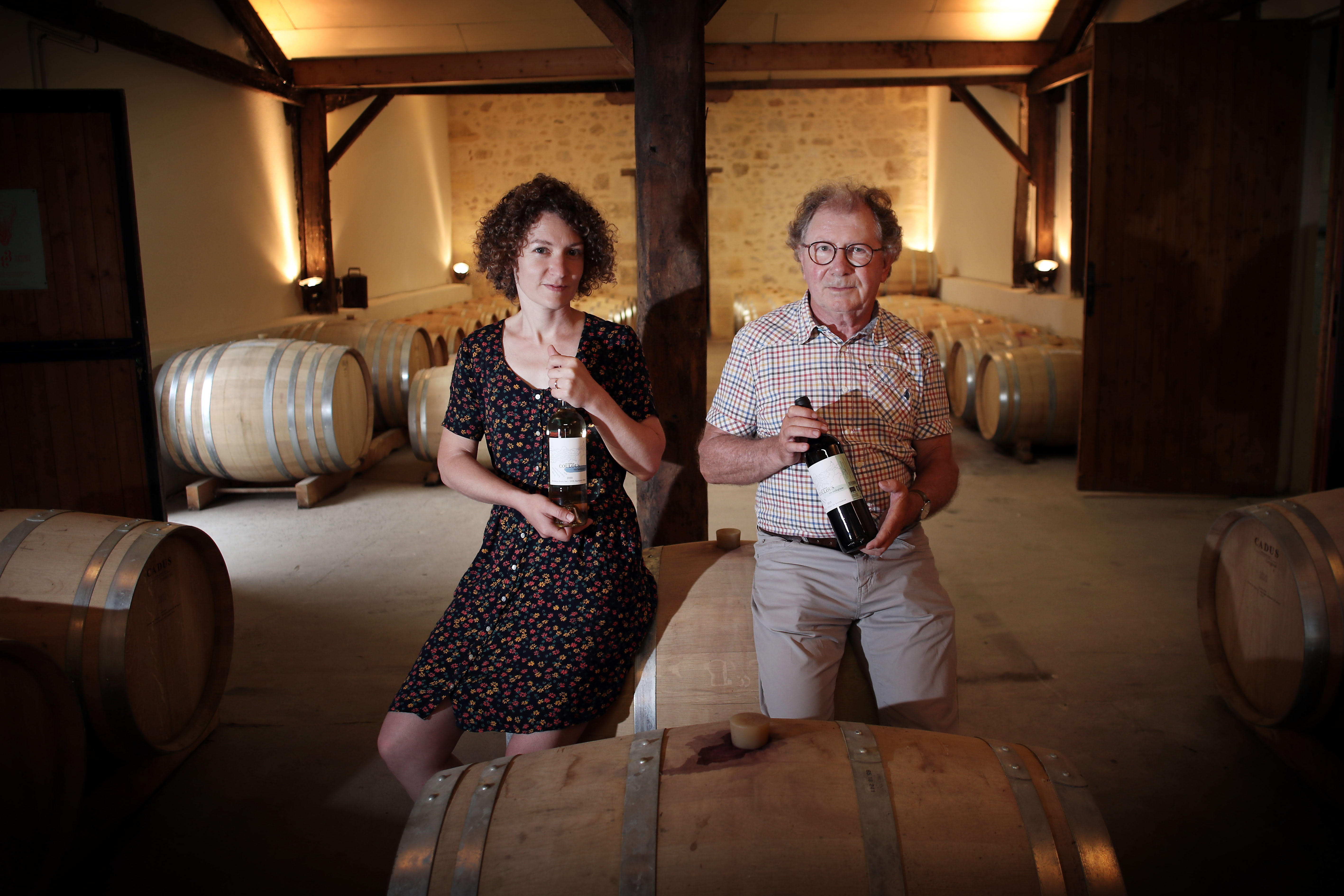 Rượu Vang C&ocirc;tes de Bordeaux